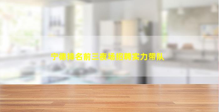 宁德排名前三夜场招聘实力带队